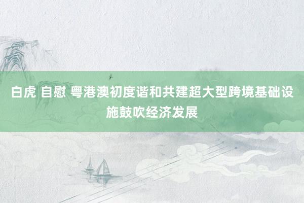 白虎 自慰 粤港澳初度谐和共建超大型跨境基础设施鼓吹经济发展