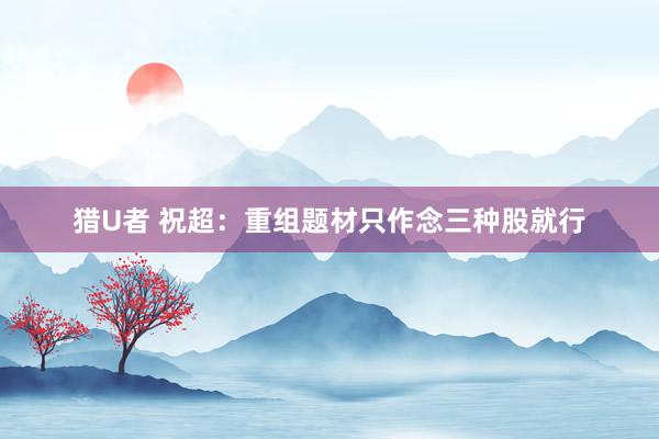 猎U者 祝超:重组题材只作念三种股就行