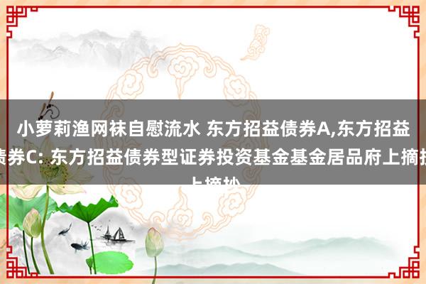 小萝莉渔网袜自慰流水 东方招益债券A,东方招益债券C: 东方招益债券型证券投资基金基金居品府上摘抄