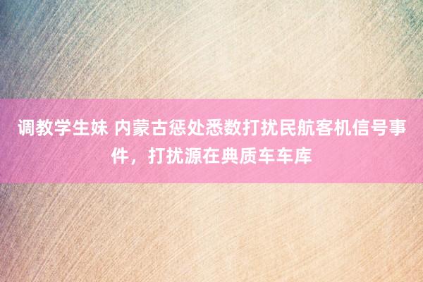 调教学生妹 内蒙古惩处悉数打扰民航客机信号事件，打扰源在典质车车库
