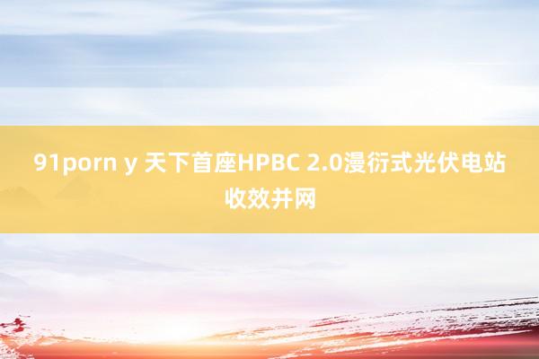 91porn y 天下首座HPBC 2.0漫衍式光伏电站收效并网