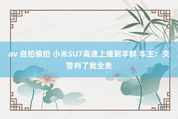 av 自拍偷拍 小米SU7高速上撞到羊群 车主：交警判了我全责