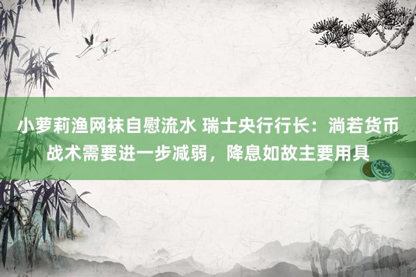 小萝莉渔网袜自慰流水 瑞士央行行长：淌若货币战术需要进一步减弱，降息如故主要用具