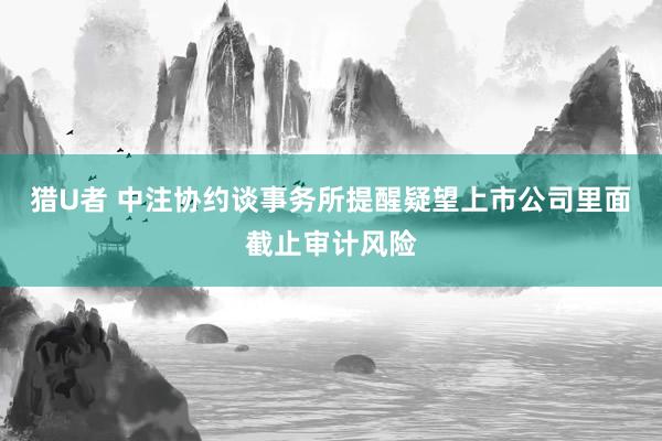 猎U者 中注协约谈事务所提醒疑望上市公司里面截止审计风险