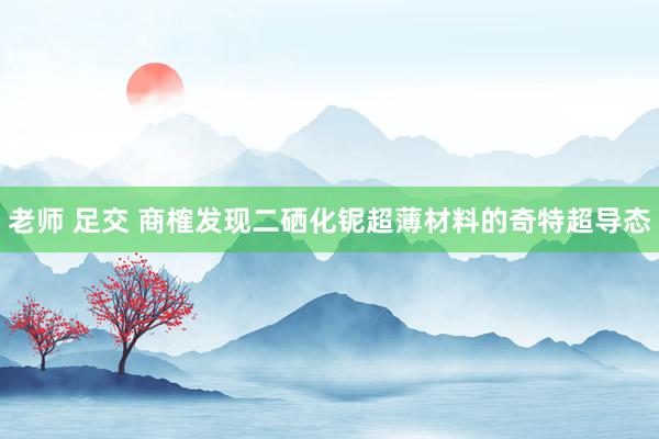 老师 足交 商榷发现二硒化铌超薄材料的奇特超导态