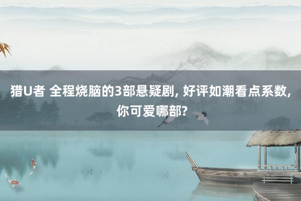 猎U者 全程烧脑的3部悬疑剧， 好评如潮看点系数， 你可爱哪部?